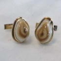 14k Yellow with smooth wire trim Man's Elk tooth Ivory Cuff Links