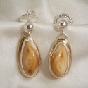 SS with 14k smooth wire trim Elk Ivory earrings