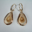 14K Gold DropElk Ivory earrings with a smooth wire trim