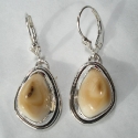 SS smooth wire TrimElk Ivory Earrings