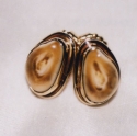 14k gold Elk Ivory studs with smooth wire trim