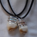 Sterling Silver Jeff Bridges Elk tooth Pendant from Crasy Heart