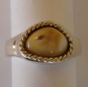 Cast sterling silver Band style Elk tooth ring with 14ky twist trim