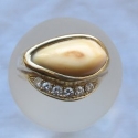 14k Yellow cast elk tooth ring with pave diamonds