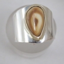 Fabricated ring with 14k yellow bezel around Elk tooth