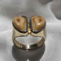 14k Yellow mans hoof print Elk tooth ring